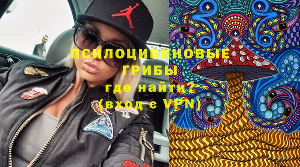 спайс Лабытнанги