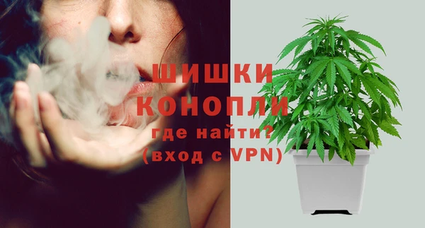 Альфа ПВП Ладушкин