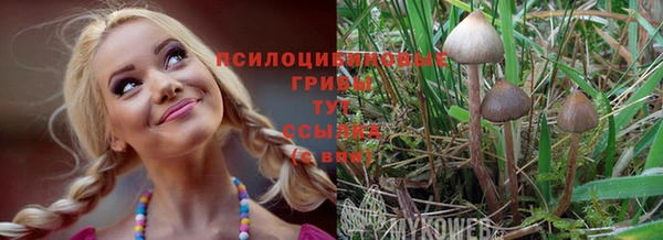 трава Кулебаки