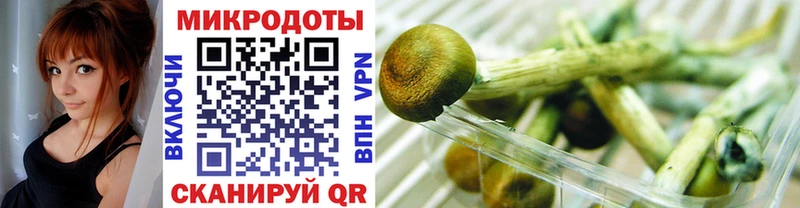 Галлюциногенные грибы Cubensis  Кемерово 