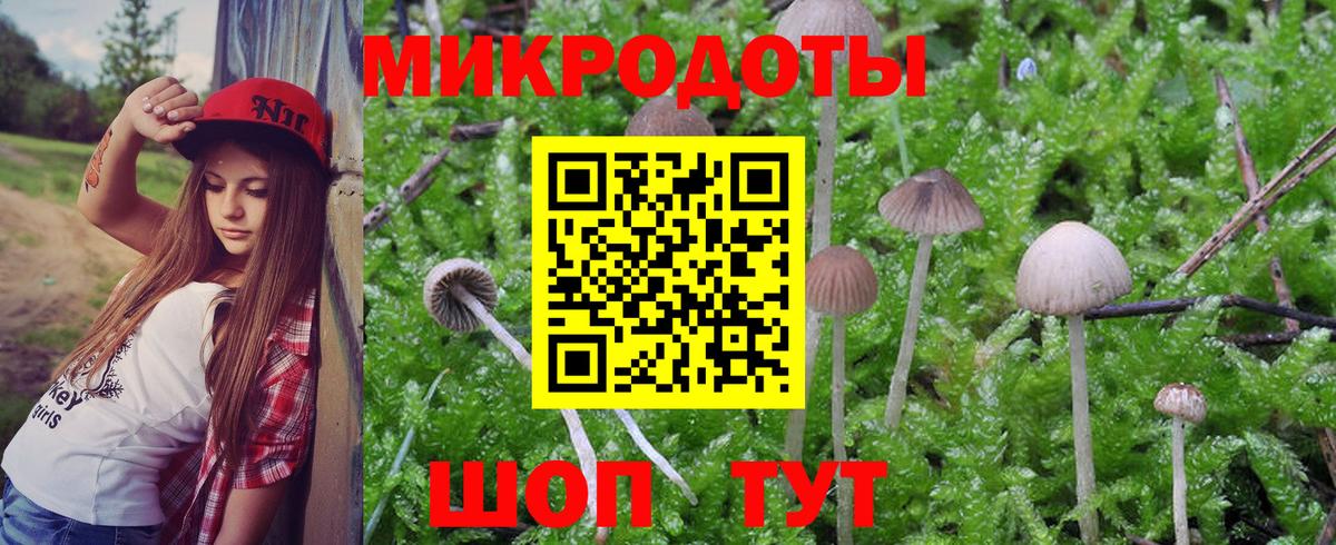 где можно купить   Псилоцибиновые грибы Psilocybe  Вход с VPN  Галлюциногенные грибы мицелий  Кемерово 